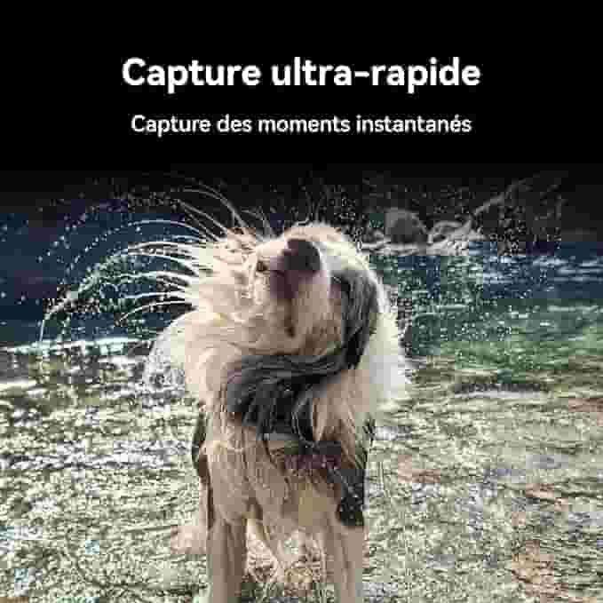 imageP2
